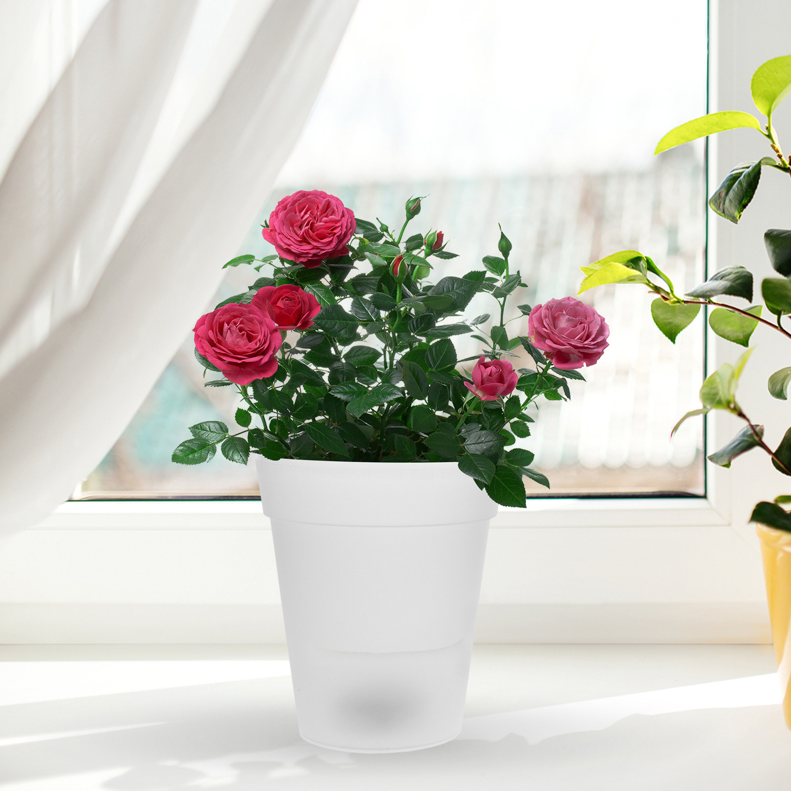 Flowerpot Solar Light Outdoor  – Outdoor Lighting For Christmas recenzja i cena