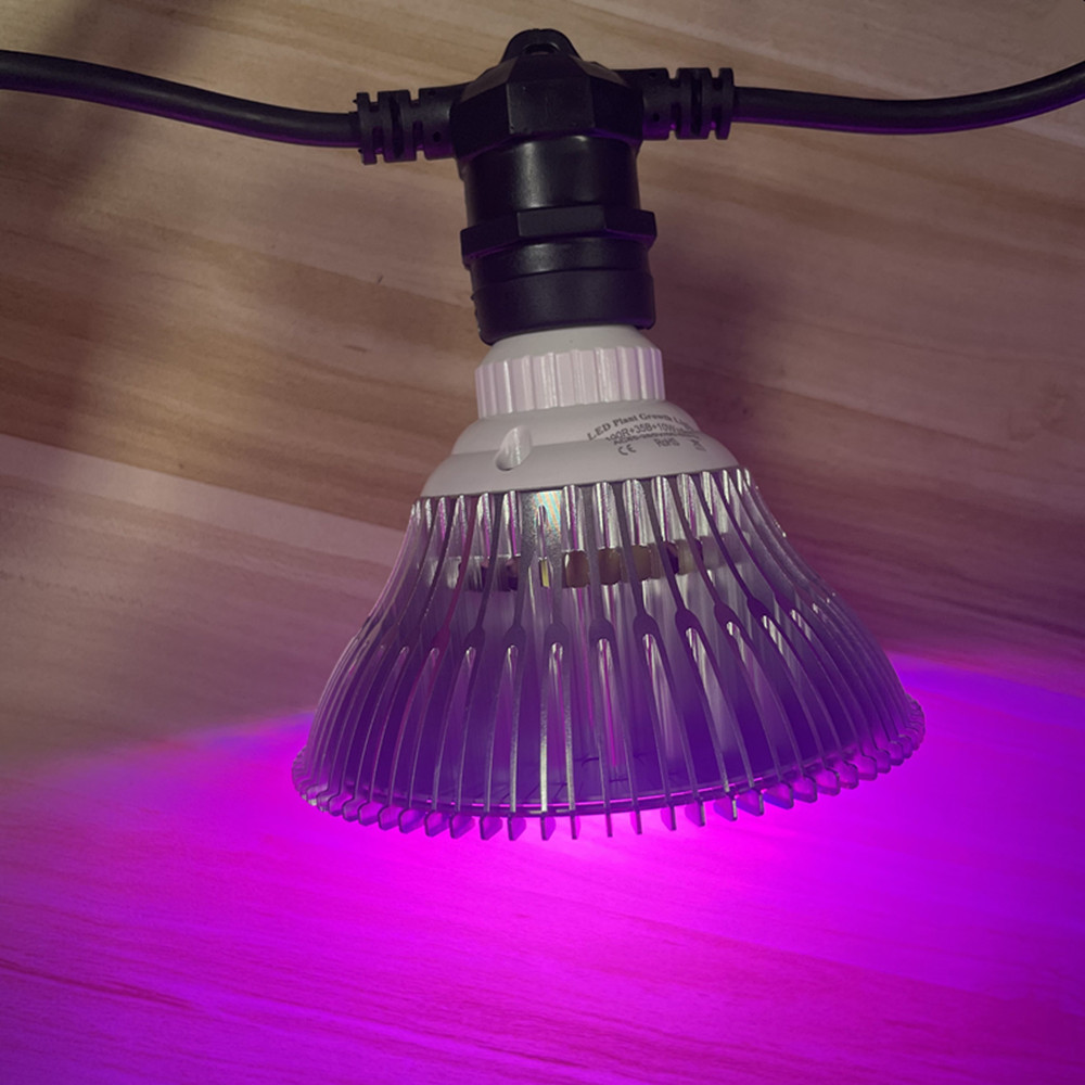 10M Cable LED String Commercia – Outdoor Lighting Manufacturers recenzja i cena