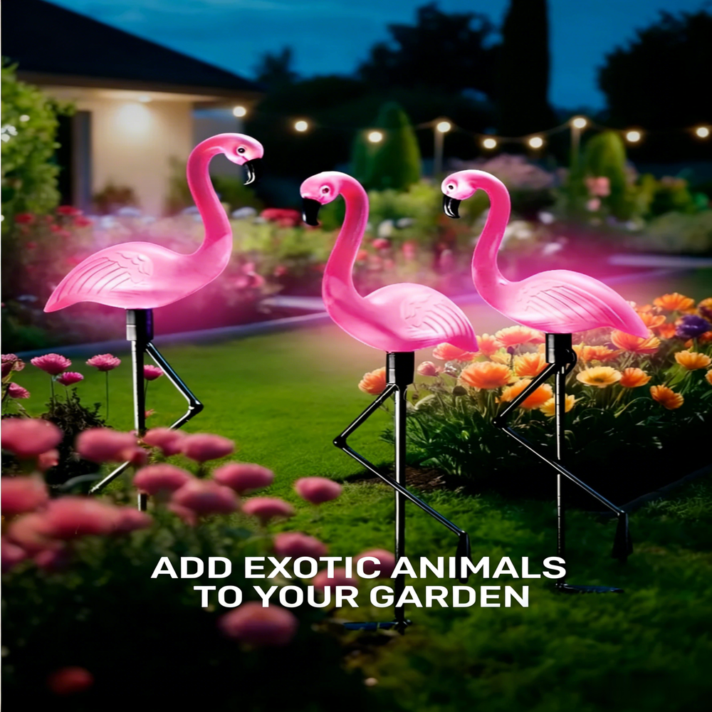 3Pcs Solar Powered Flamingo Gr – Outdoor Lighting Manufacturers recenzja i cena