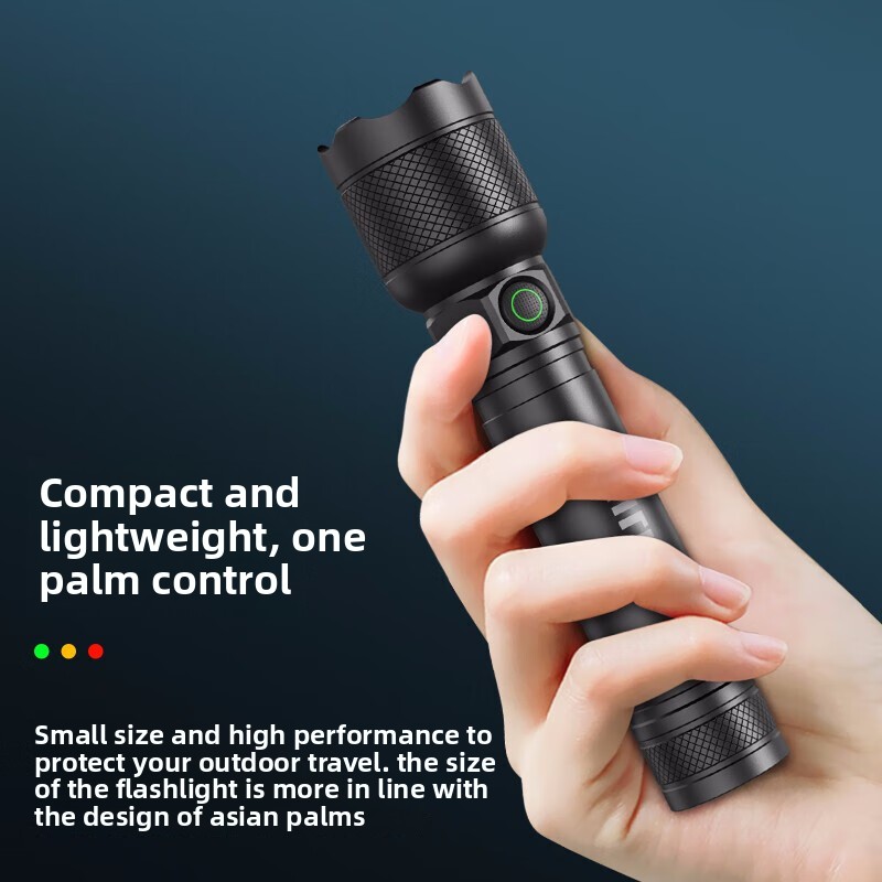 2025 NEW Philips SFL2188 LED A – Zinc Outdoor Lighting recenzja i cena